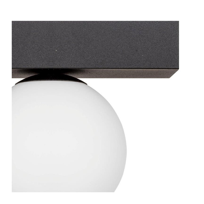 Zuma Line - Stropní svítidlo 1xG9/8W/230V černá