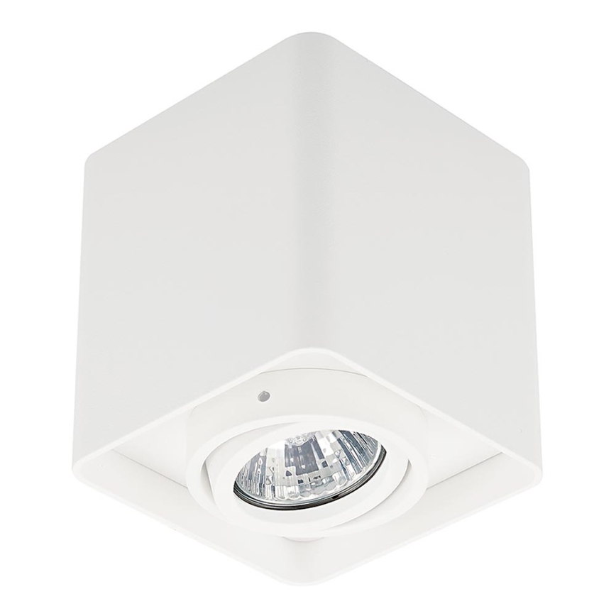 Zuma Line - Bodové svítidlo 1xGU10/50W/230V bílá
