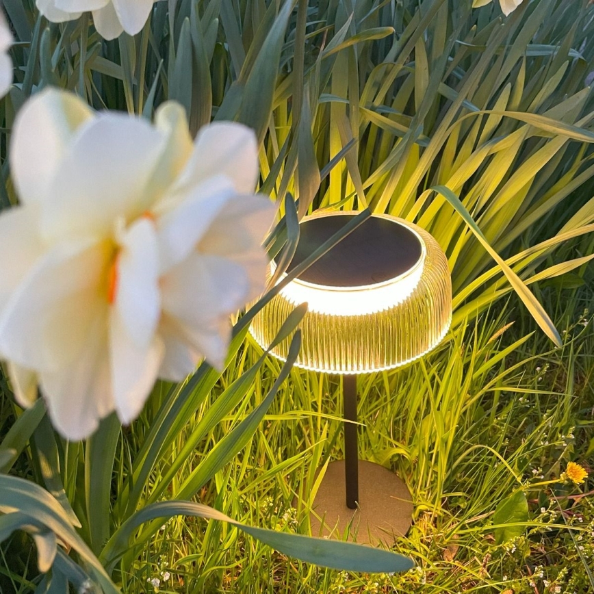 Zuma Line - LED Stmívatelná solární nabíjecí stolní lampa LED/2,5W/2000 mAh IP44 černá