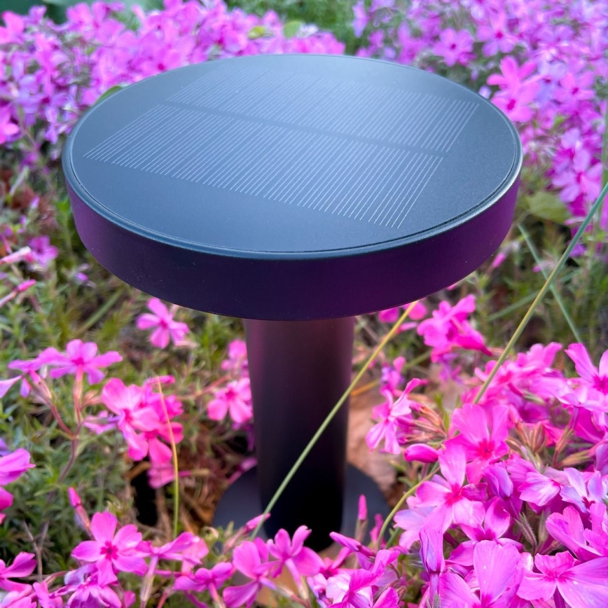 Zuma Line - LED Stmívatelná solární nabíjecí stolní lampa LED/2W/2000 mAh IP44 černá
