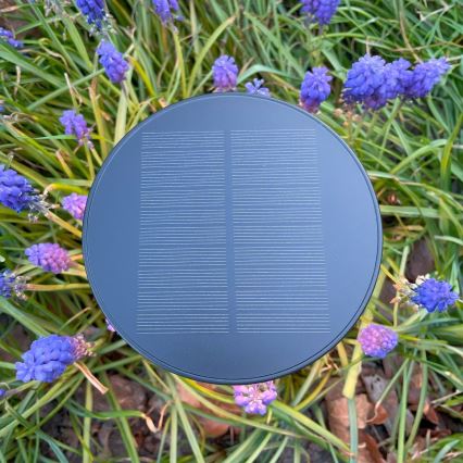Zuma Line - LED Stmívatelná solární nabíjecí stolní lampa LED/2W/2000 mAh IP44 černá