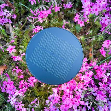 Zuma Line - LED Stmívatelná solární nabíjecí stolní lampa LED/2W/2000 mAh IP44 černá