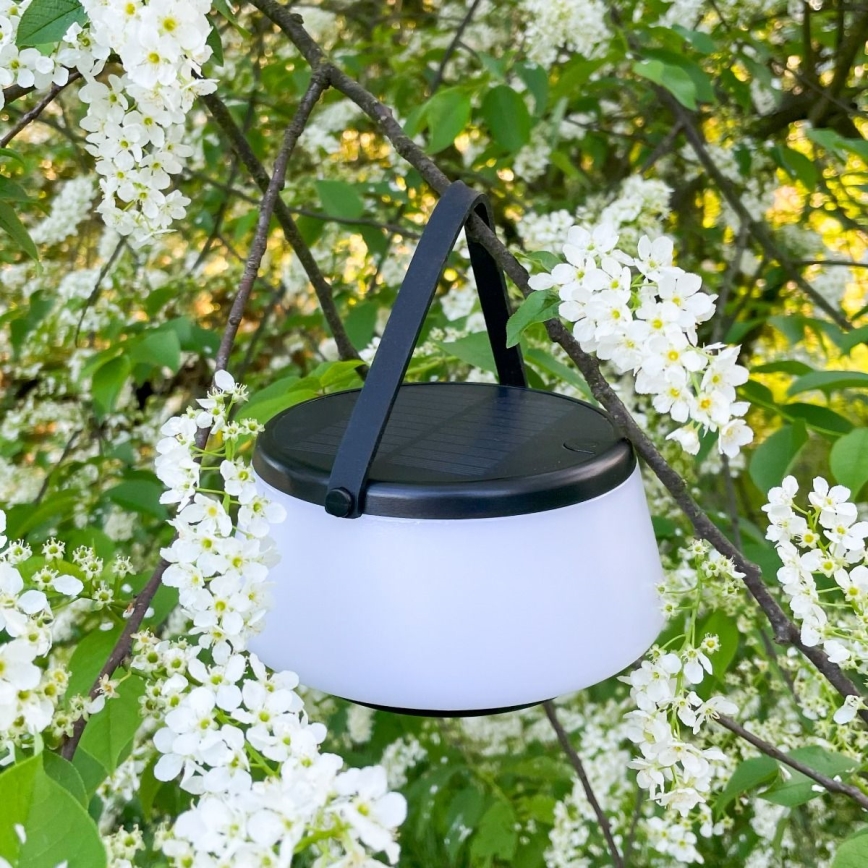Zuma Line - LED Stmívatelná solární nabíjecí stolní lampa LED/2,2W/2000 mAh IP44 černá