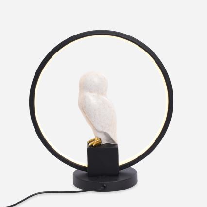 Zuma Line - LED Stolní lampa LED/4W/5V černá/bílá
