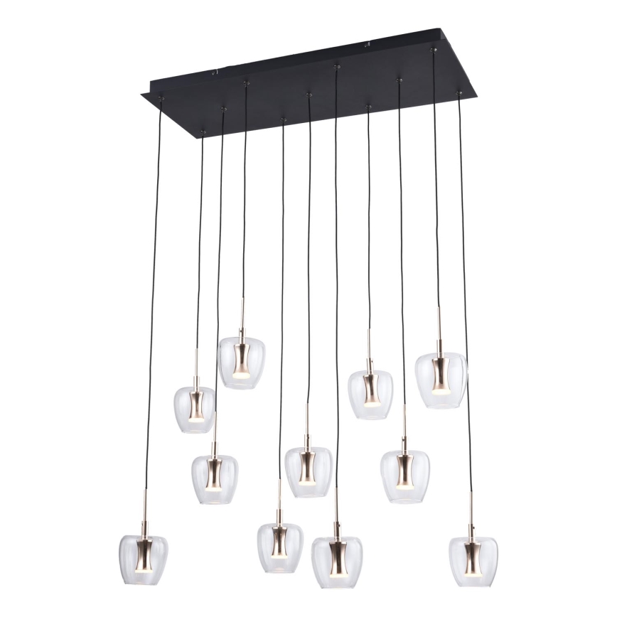 Zuma Line - LED Lustr na lanku 11xLED/3W/230V černá