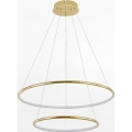 Zuma Line - LED Lustr na lanku LED/40W/230V zlatá