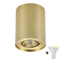 Zuma Line - LED RGBW Stmívatelné bodové svítidlo 1xGU10/4,8W/230V zlatá + dálkové ovládání