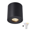 Zuma Line - LED RGBW Stmívatelné koupelnové bodové svítidlo 1xGU10/4,8W/230V IP44 černá + dálkové ovládání