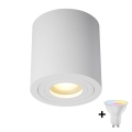 Zuma Line - LED RGBW Stmívatelné koupelnové bodové svítidlo 1xGU10/6W/230V IP44 bílá + dálkové ovládání
