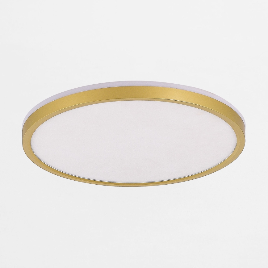 Zuma Line - LED Stmívatelné stropní svítidlo LED/38W/230V + LED/11W 3000/4000/5500K pr. 50 cm zlatá