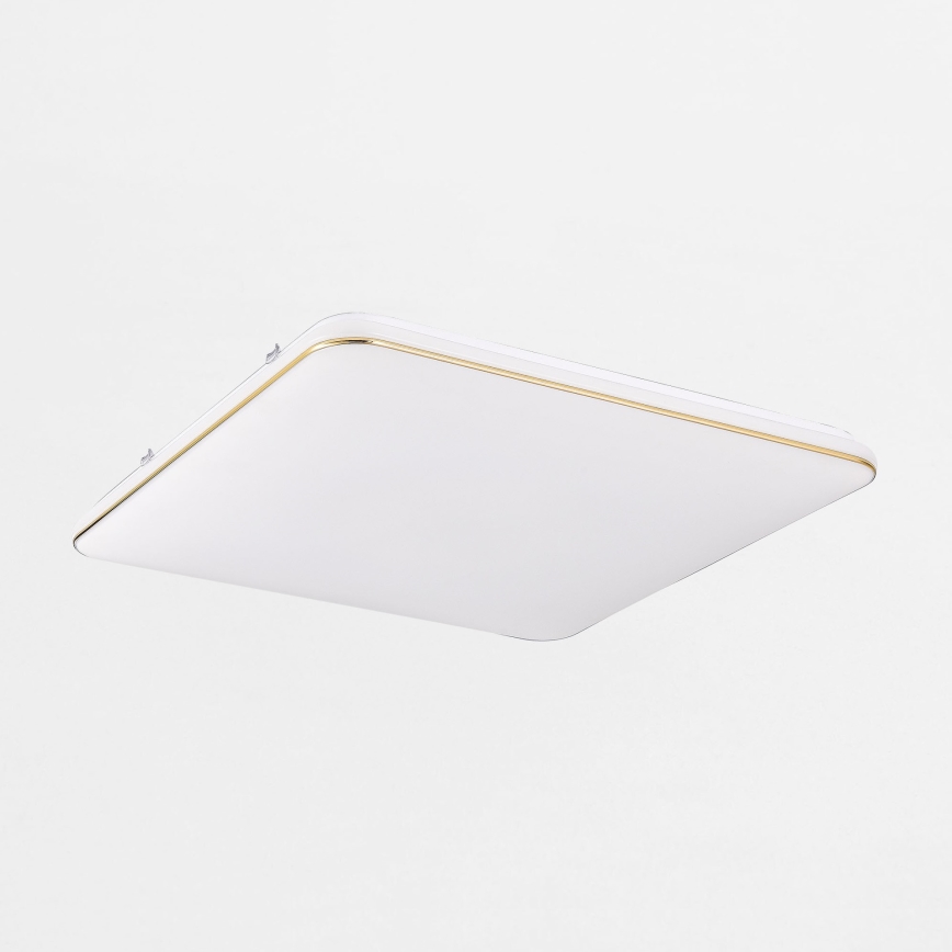 Zuma Line - LED Stmívatelné stropní svítidlo LED/48W/230V 53x53 cm zlatá