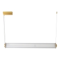 Zuma Line - LED Stmívatelný lustr na lanku LED/39W/230V 2700-6500K zlatá + dálkové ovládání