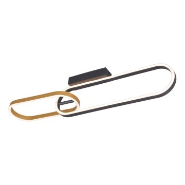 Zuma Line - LED Stropní svítidlo 2xLED/24W/230V černá/zlatá