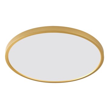 Zuma Line - LED Stropní svítidlo CAMI LED/36W/230V 3000/4000/6000K pr. 40 cm zlatá