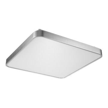 Zuma Line - LED Stropní svítidlo LED/60W/230V lesklý chrom