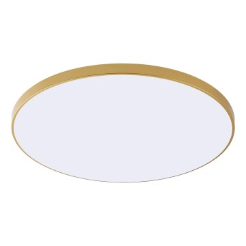 Zuma Line - LED Stropní svítidlo VERI LED/32W/230V pr. 37 cm zlatá