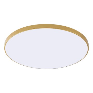 Zuma Line - LED Stropní svítidlo VERI LED/44W/230V pr. 47 cm zlatá