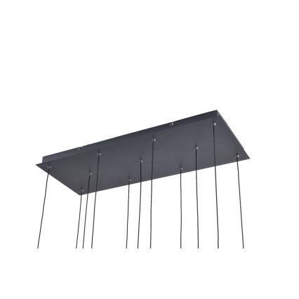 Zuma Line - LED Lustr na lanku 11xLED/3W/230V černá