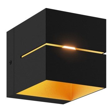 Zuma Line - Nástěnné svítidlo 1xG9/40W/230V černá/zlatá