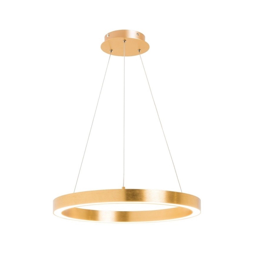 Zuma Line - LED Lustr na lanku 1xLED/40W/230V pr. 60 cm zlatá
