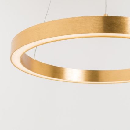 Zuma Line - LED Lustr na lanku 1xLED/40W/230V pr. 60 cm zlatá