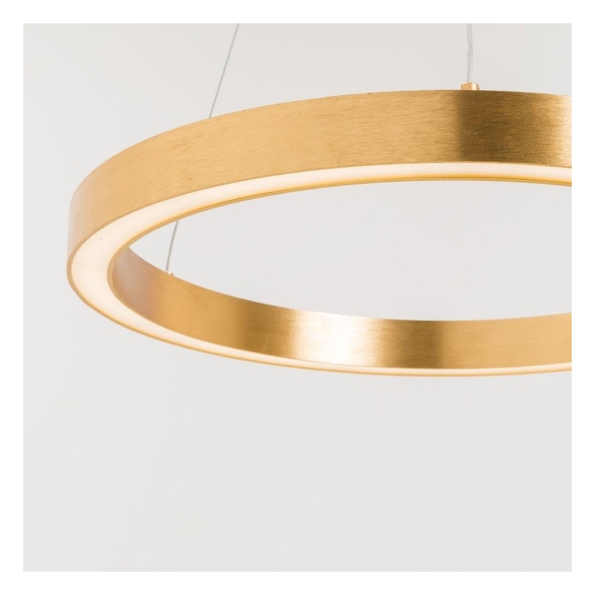 Zuma Line - LED Lustr na lanku 1xLED/40W/230V pr. 60 cm zlatá