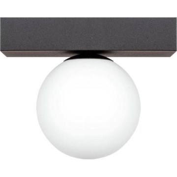 Zuma Line - Stropní svítidlo 1xG9/8W/230V černá