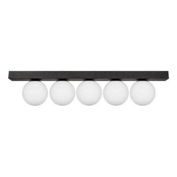 Zuma Line - Stropní svítidlo 5xG9/8W/230V černá