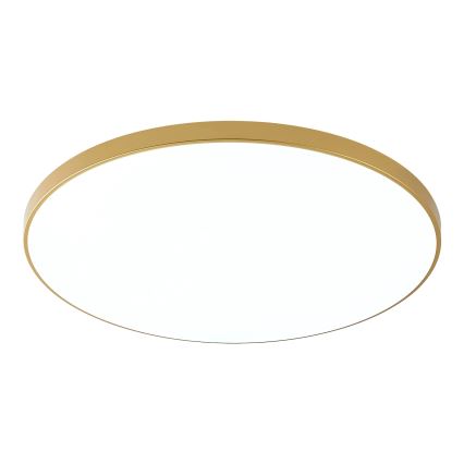 Zuma Line - LED Stropní svítidlo VERI LED/32W/230V pr. 37 cm zlatá